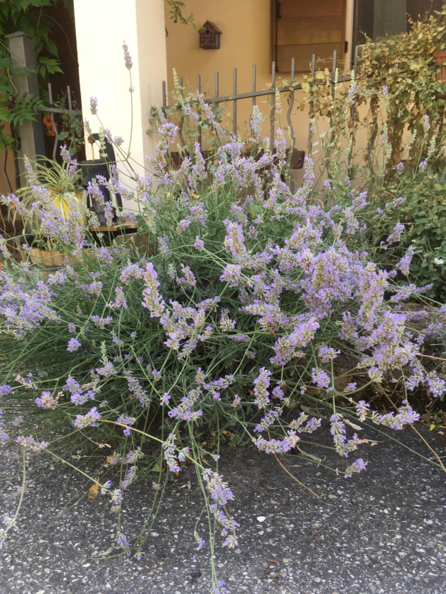 B&B Ca Biocco Sogliano al Rubicone 외부 사진