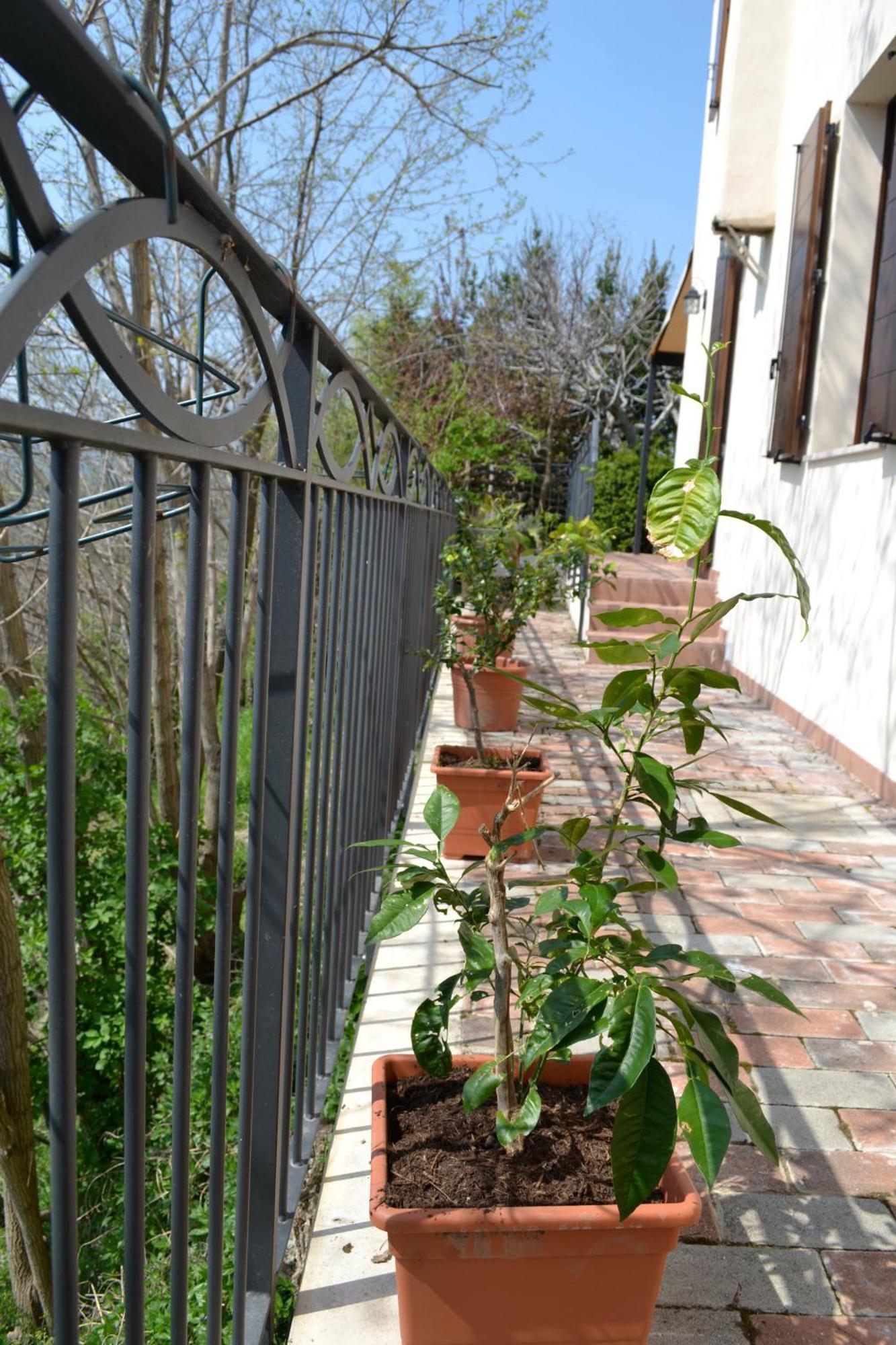 B&B Ca Biocco Sogliano al Rubicone 외부 사진