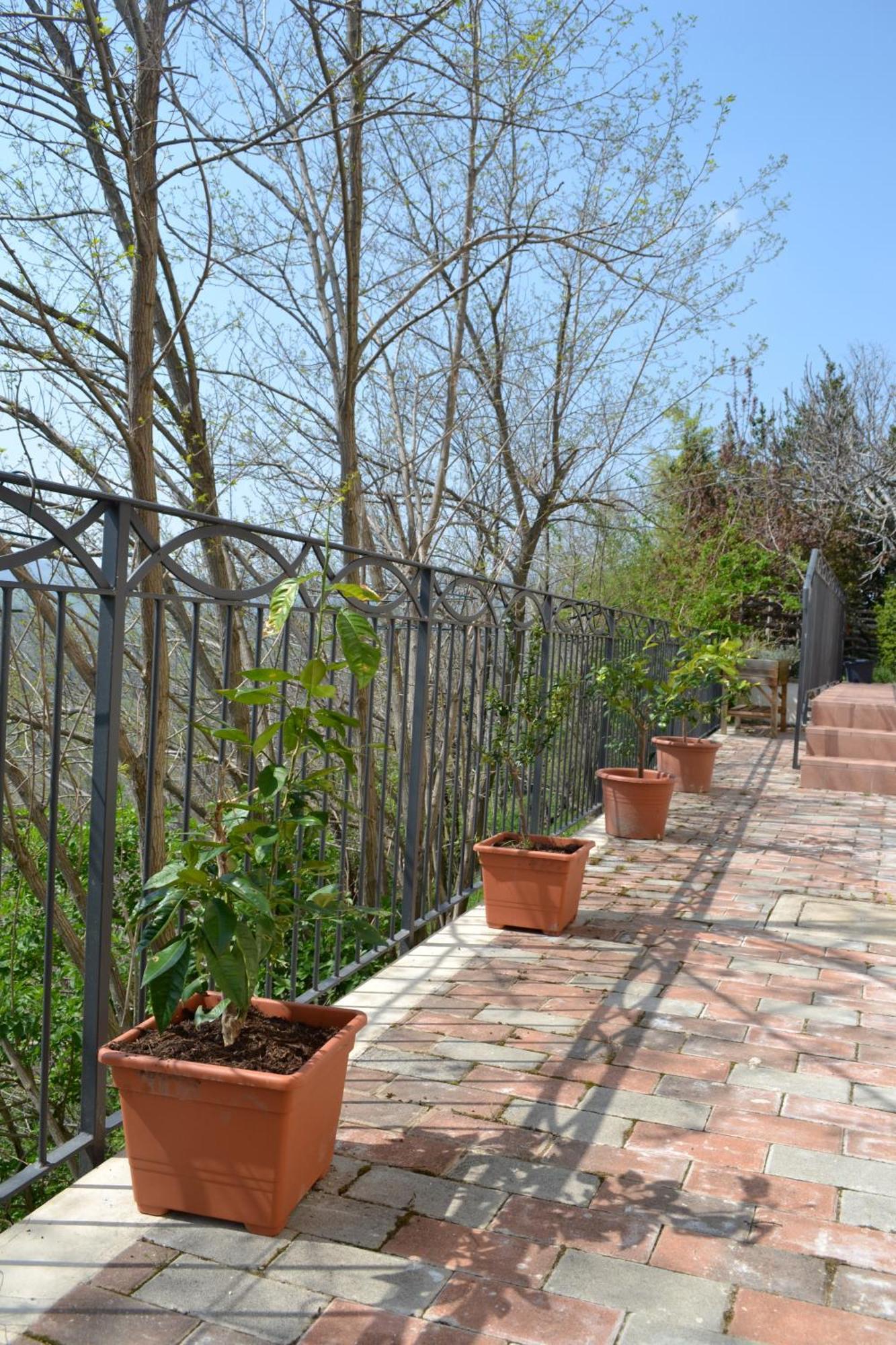 B&B Ca Biocco Sogliano al Rubicone 외부 사진