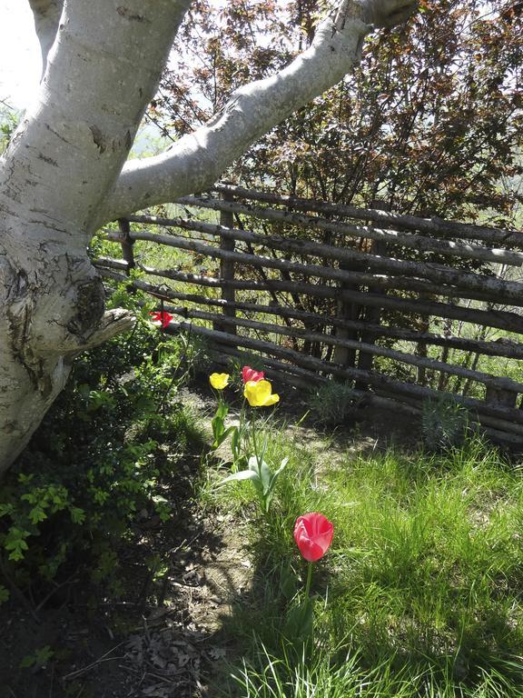 B&B Ca Biocco Sogliano al Rubicone 외부 사진